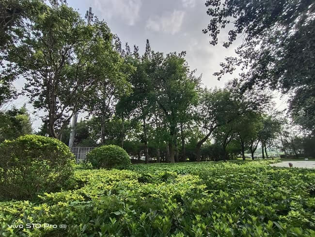 vivo S10 Pro值得入手吗 vivo S10 Pro详细评测_手机评测_手机学院_本站