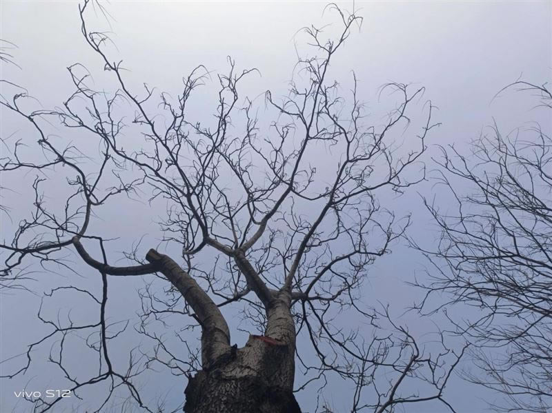 vivoS12值得入手吗 vivoS12手机详细评测_手机评测_手机学院_本站