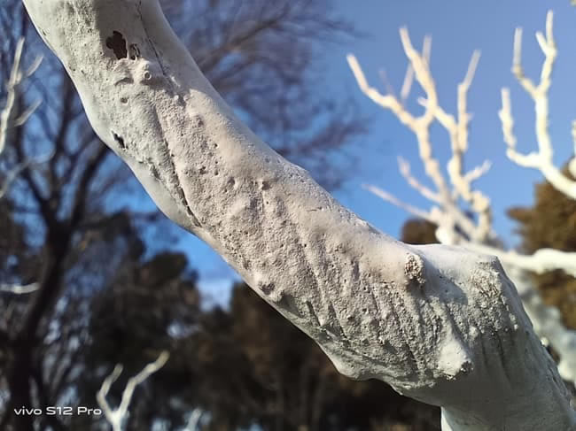 vivo S12 Pro值得入手吗 vivo S12 Pro详细评测_手机评测_手机学院_本站