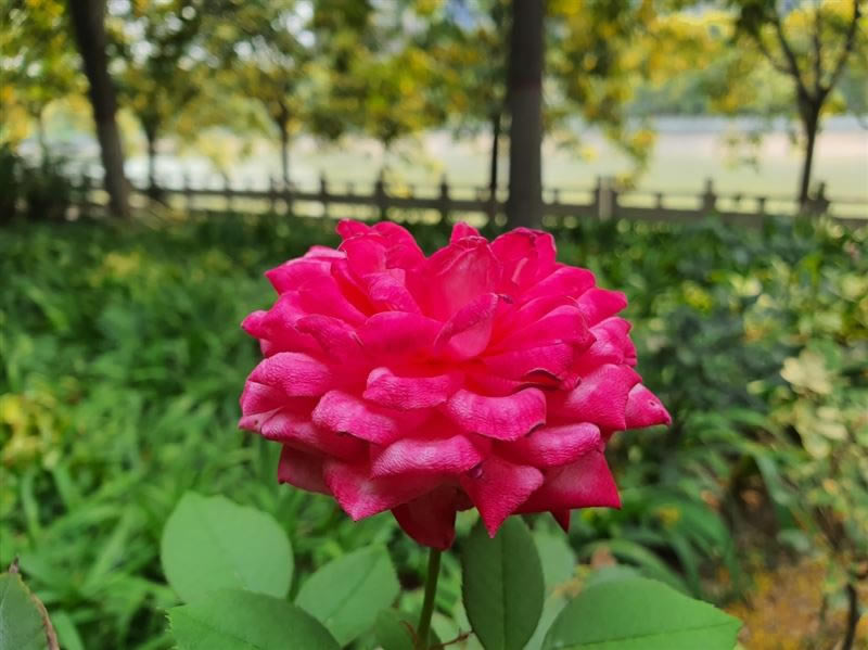 ����Note10+ֵ������ ����Note10+�ֻ���ۡ����ܡ����ա�������������������_�ֻ�����_�ֻ�ѧԺ_��վ