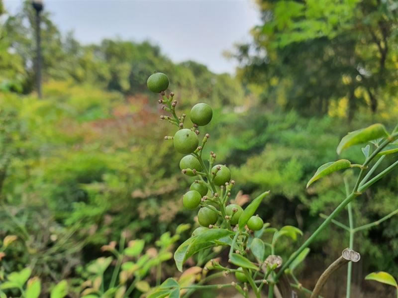 ����Note10+ֵ������ ����Note10+�ֻ���ۡ����ܡ����ա�������������������_�ֻ�����_�ֻ�ѧԺ_��վ