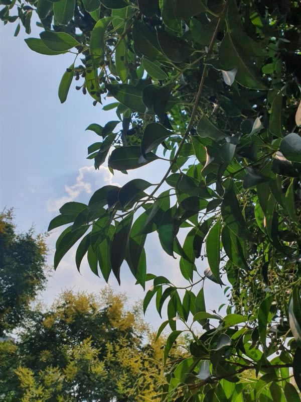 ����Note10+ֵ������ ����Note10+�ֻ���ۡ����ܡ����ա�������������������_�ֻ�����_�ֻ�ѧԺ_��վ