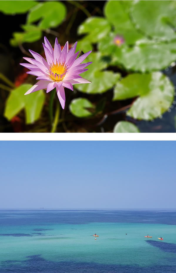 ����note8��ϸ����(����ϸ)_�ֻ�����_�ֻ�ѧԺ_��վ