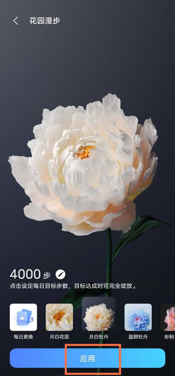 vivox70pro+动态壁纸在哪设置_安卓手机_手机学院_本站