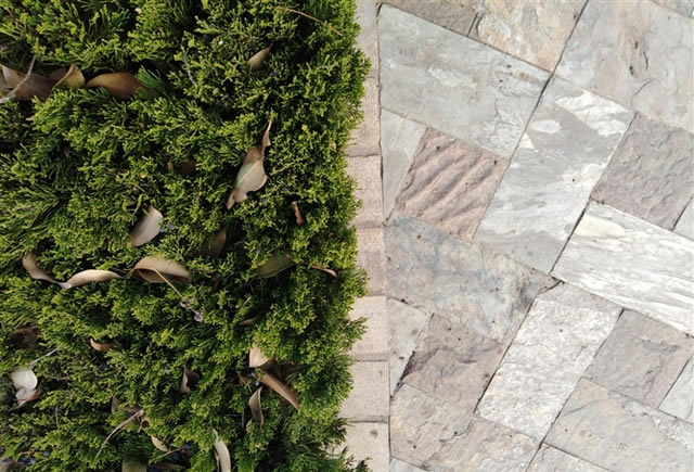 荣耀畅玩7C值得买吗?荣耀畅玩7C评测