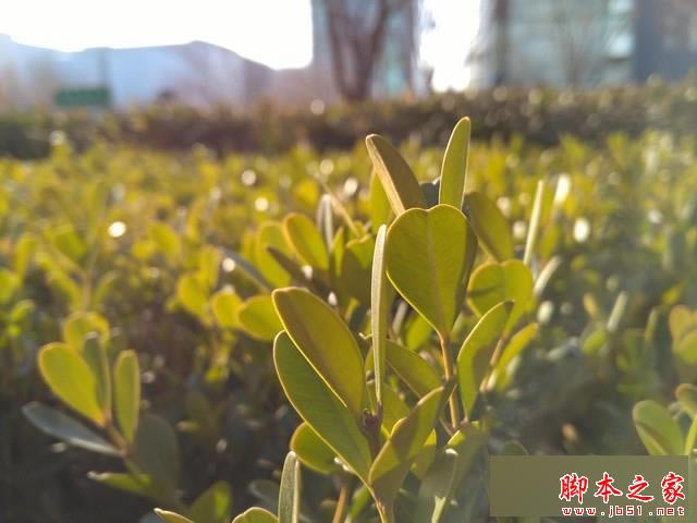 ǧԪ����ս ��ҫ����5X�ԱȺ���Note 3 