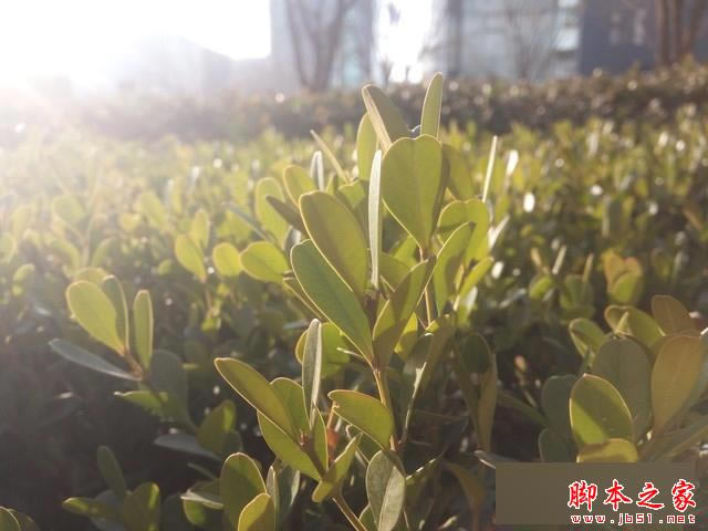 ǧԪ����ս ��ҫ����5X�ԱȺ���Note 3 