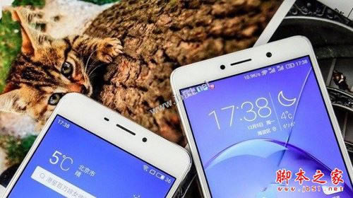 魅蓝X和荣耀畅玩6X哪个好看?外观对比