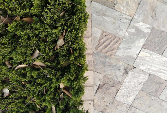 荣耀畅玩7C值得买吗?荣耀畅玩7C评测