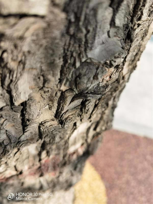 ��ҫ30Pro+ֵ�������� ��ҫ30Pro+�ֻ�ȫ������_�ֻ�����_�ֻ�ѧԺ_��վ