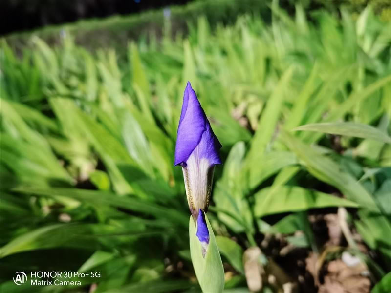 ��ҫ30Pro+ֵ�������� ��ҫ30Pro+�ֻ�ȫ������_�ֻ�����_�ֻ�ѧԺ_��վ