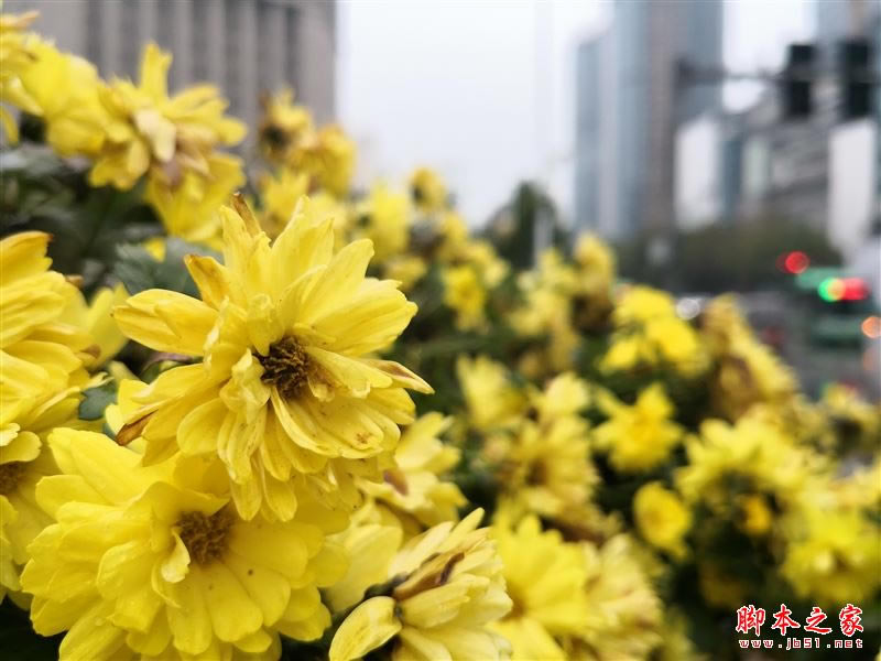 国产最强旗舰!HUAWEI Mate 10首发评测:插根线秒变PC