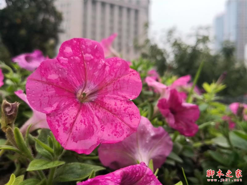 国产最强旗舰!HUAWEI Mate 10首发评测:插根线秒变PC