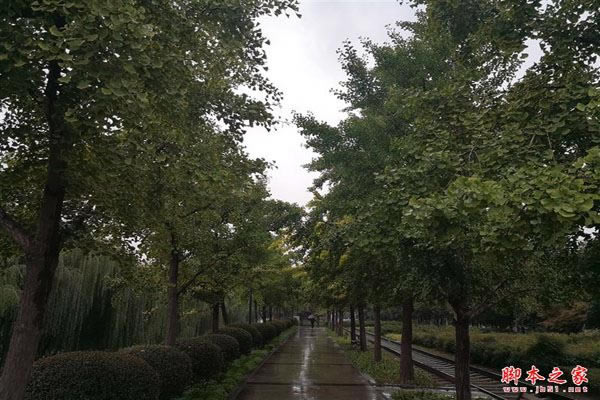 国产最强旗舰!HUAWEI Mate 10首发评测:插根线秒变PC