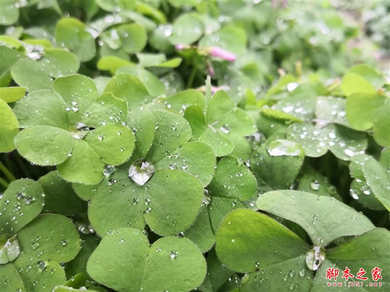 国产最强旗舰!HUAWEI Mate 10首发评测:插根线秒变PC