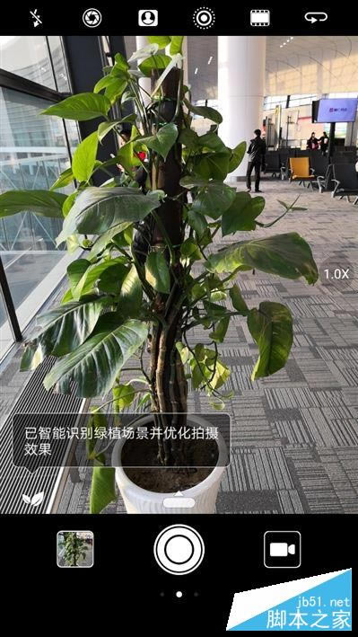 97020黪ΪMate 10 AI