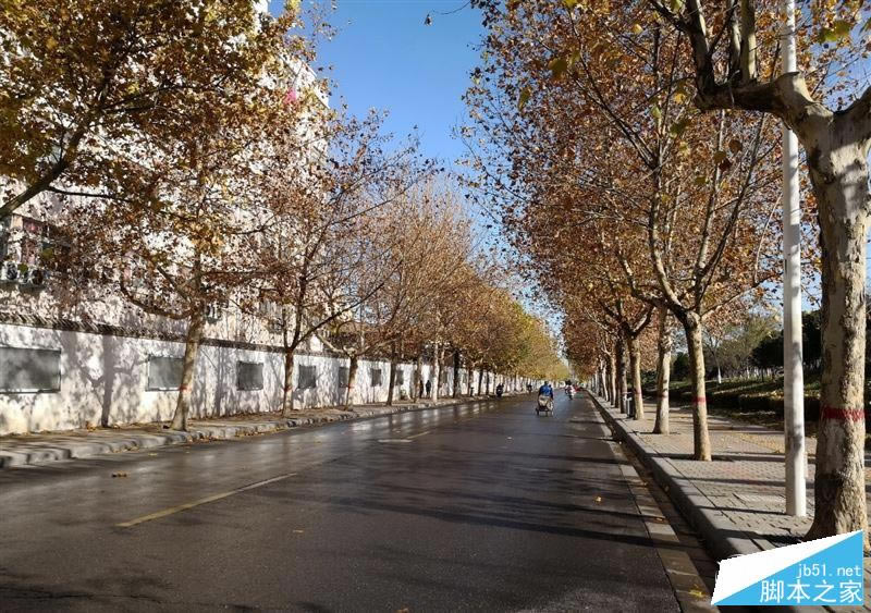 97020黪ΪMate 10 AI