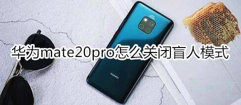 ��Ϊmate20pro��ô�ر�ä��ģʽ?_��׿�ֻ�_�ֻ�ѧԺ_��վ