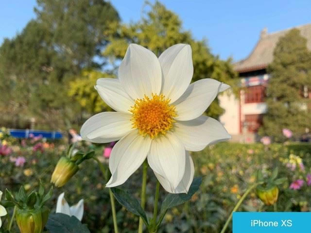 iPhone XS�ͻ�ΪMate20 Pro�ĸ�ֵ���� ��ΪMate20 Pro��ƻ��XS����Ա�����_�ֻ�����_�ֻ�ѧԺ_��վ