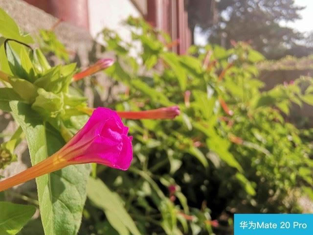 iPhone XS�ͻ�ΪMate20 Pro�ĸ�ֵ���� ��ΪMate20 Pro��ƻ��XS����Ա�����_�ֻ�����_�ֻ�ѧԺ_��վ