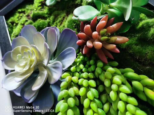 ��ΪMate30 5G��ô�� ��ΪMate30 5G��ϸ��������_�ֻ�����_�ֻ�ѧԺ_��վ