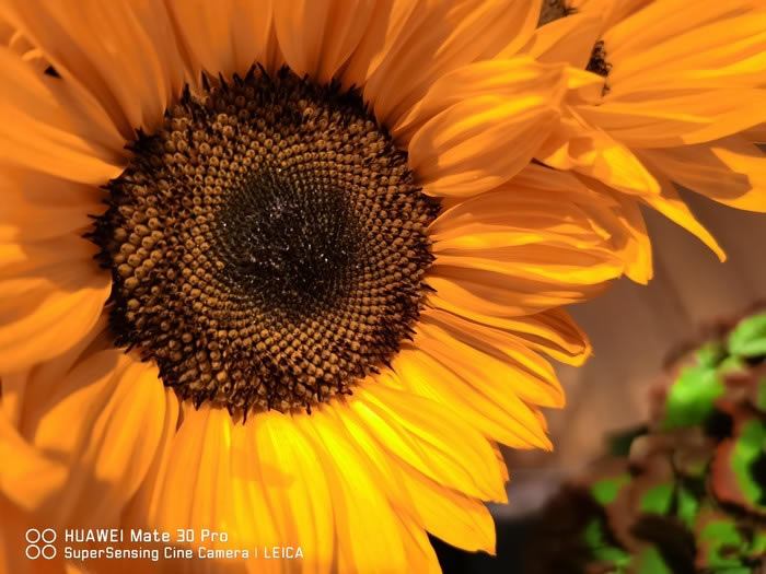 ��ΪMate 30 Pro������ô�� ��ΪMate 30 Proҹ������ʵ��_�ֻ�����_�ֻ�ѧԺ_��վ