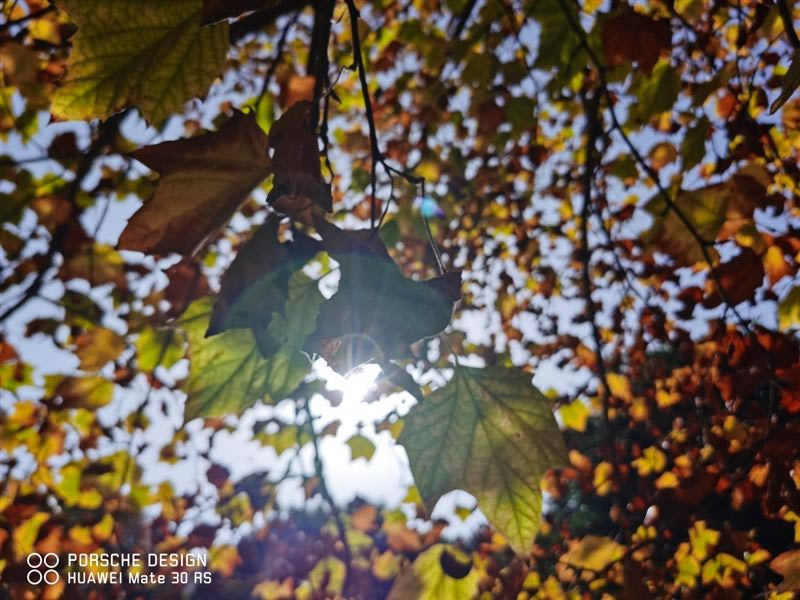 ��ΪMate30RS��ʱ�ݰ�ֵ�������� ��ΪMate30RS��ʱ�ݰ���ϸ����_�ֻ�����_�ֻ�ѧԺ_��վ