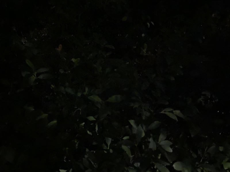 ��ΪMate30RS��ʱ�ݰ�ֵ�������� ��ΪMate30RS��ʱ�ݰ���ϸ����_�ֻ�����_�ֻ�ѧԺ_��վ