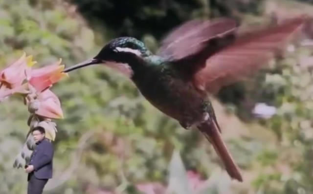 ��ΪMate30Pro��ۡ����ա����ܡ�ϵͳ���鼰��������ȫ������_�ֻ�����_�ֻ�ѧԺ_��վ