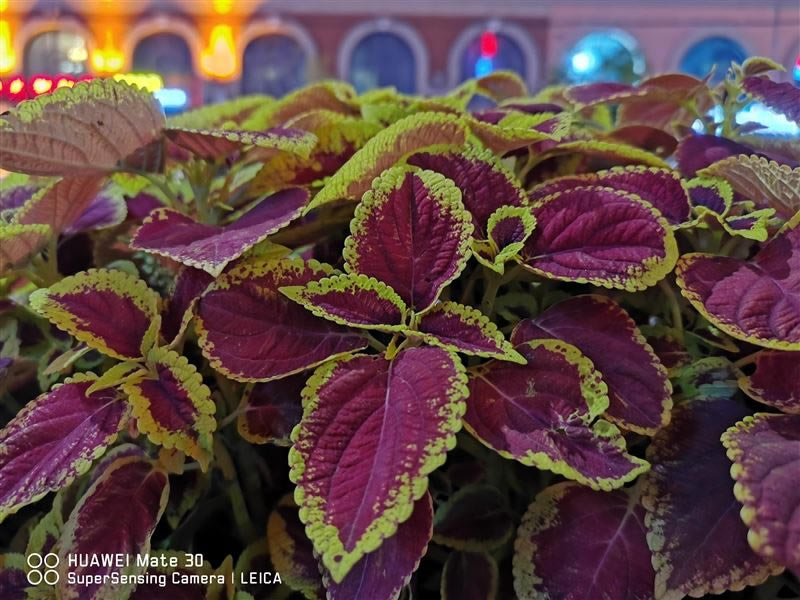 华为Mate30 5G值得入手吗 华为Mate30 5G版全面评测_手机评测_手机学院_本站