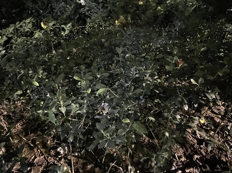 华为Mate30 5G值得入手吗 华为Mate30 5G版全面评测_手机评测_手机学院_本站