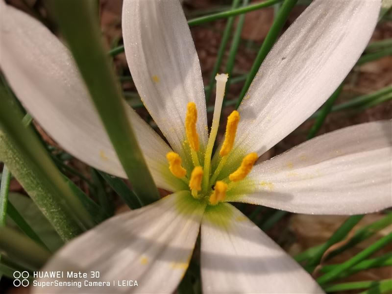 ��ΪMate30 5Gֵ�������� ��ΪMate30 5G��ȫ������_�ֻ�����_�ֻ�ѧԺ_��վ