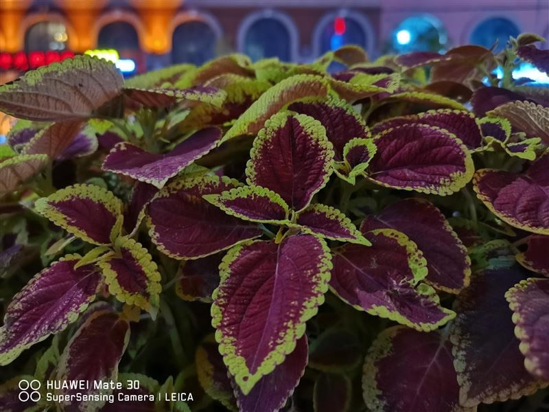 ��ΪMate30 5Gֵ�������� ��ΪMate30 5G��ȫ������_�ֻ�����_�ֻ�ѧԺ_��վ