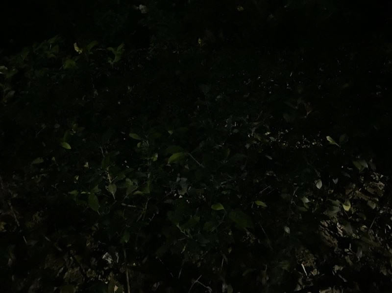 ��ΪMate30 5Gֵ�������� ��ΪMate30 5G��ȫ������_�ֻ�����_�ֻ�ѧԺ_��վ