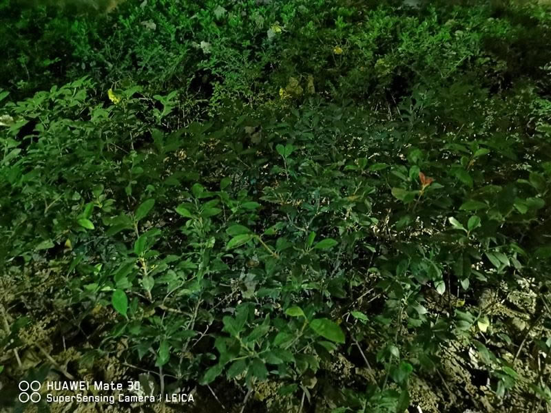 ��ΪMate30 5Gֵ�������� ��ΪMate30 5G��ȫ������_�ֻ�����_�ֻ�ѧԺ_��վ