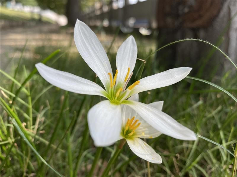 ��ΪMate30Pro���� ��ΪMate30Pro��ۡ����ա����ܡ����硢������������������_�ֻ�����_�ֻ�ѧԺ_��վ