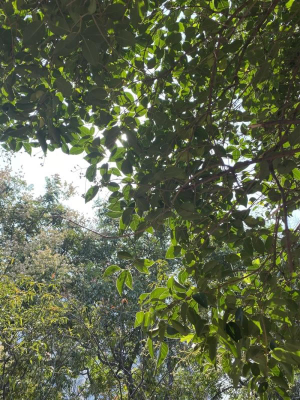 ��ΪMate30Pro���� ��ΪMate30Pro��ۡ����ա����ܡ����硢������������������_�ֻ�����_�ֻ�ѧԺ_��վ