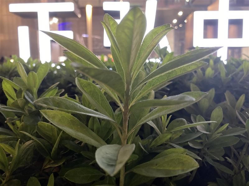 ��ΪMate30Pro���� ��ΪMate30Pro��ۡ����ա����ܡ����硢������������������_�ֻ�����_�ֻ�ѧԺ_��վ