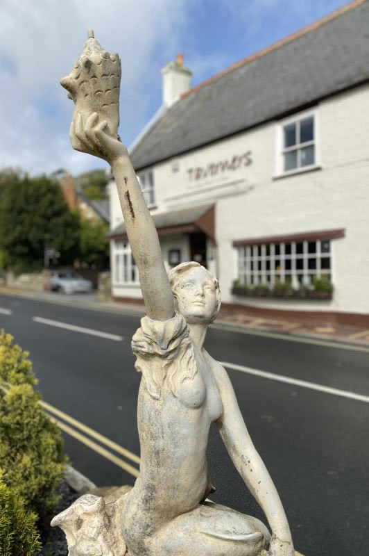 iPhone11Pro�ͻ�ΪMate30Pro�Ŀ����պ� iPhone11Pro�ͻ�ΪMate30Pro����Ա�_�ֻ�����_�ֻ�ѧԺ_��վ