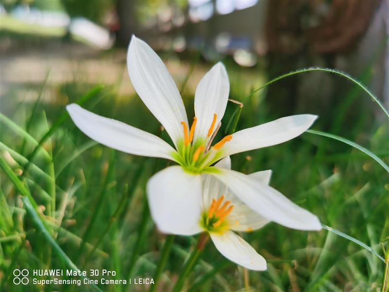 华为Mate30Pro简评 华为Mate30Pro外观、拍照、性能、网络、续航及上手体验评测_手机评测_手机学院_本站