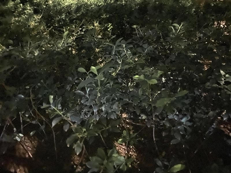 华为Mate30Pro简评 华为Mate30Pro外观、拍照、性能、网络、续航及上手体验评测_手机评测_手机学院_本站