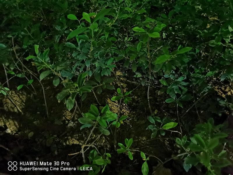 华为Mate30Pro简评 华为Mate30Pro外观、拍照、性能、网络、续航及上手体验评测_手机评测_手机学院_本站