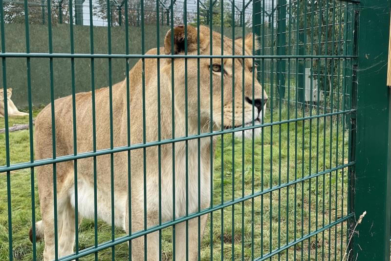 iPhone11Pro�ͻ�ΪMate30Pro�Ŀ����պ� iPhone11Pro�ͻ�ΪMate30Pro����Ա�_�ֻ�����_�ֻ�ѧԺ_��վ