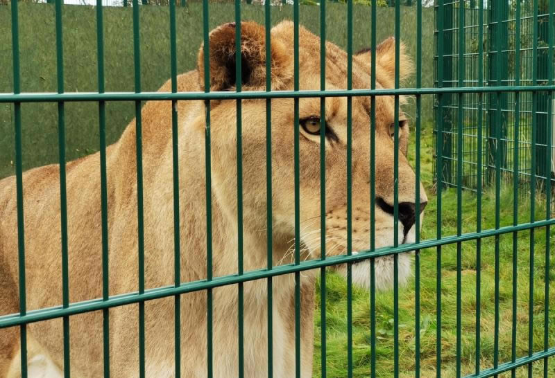 iPhone11Pro�ͻ�ΪMate30Pro�Ŀ����պ� iPhone11Pro�ͻ�ΪMate30Pro����Ա�_�ֻ�����_�ֻ�ѧԺ_��վ