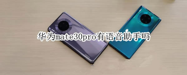��Ϊmate30pro��û����������?_��׿�ֻ�_�ֻ�ѧԺ_��վ
