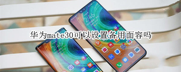 华为mate30如何设置备用面容?_安卓手机_手机学院_本站