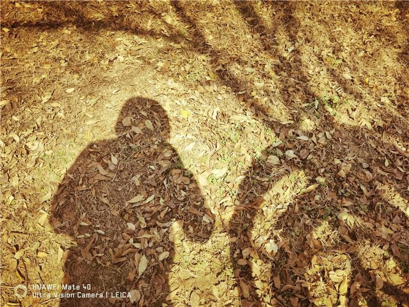 华为Mate40值得入手吗 华为Mate40手机全方位评测_手机评测_手机学院_本站