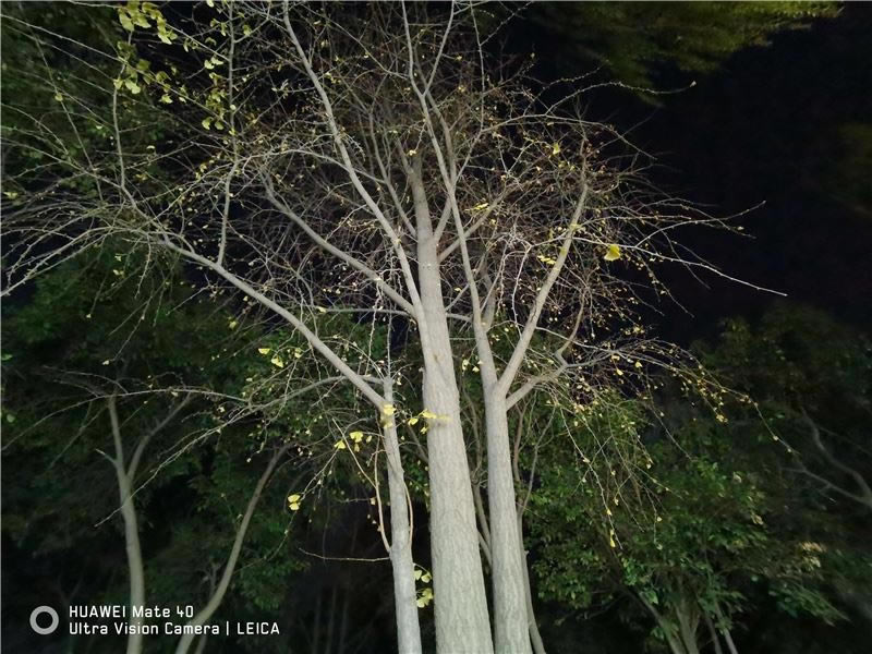 华为Mate40值得入手吗 华为Mate40手机全方位评测_手机评测_手机学院_本站