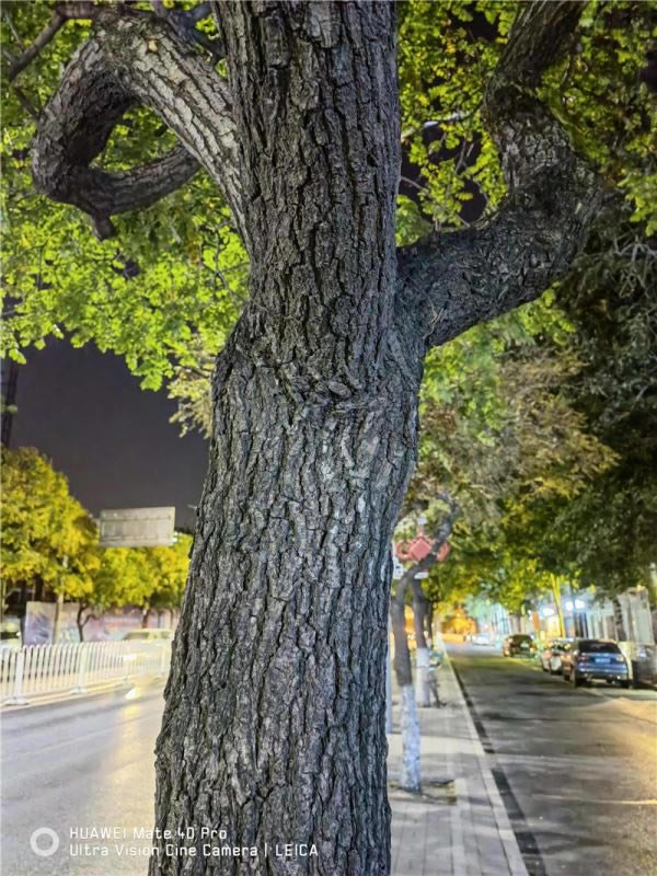 华为Mate40Pro值得入手吗 华为Mate40 Pro首发上手体验评测_手机评测_手机学院_本站