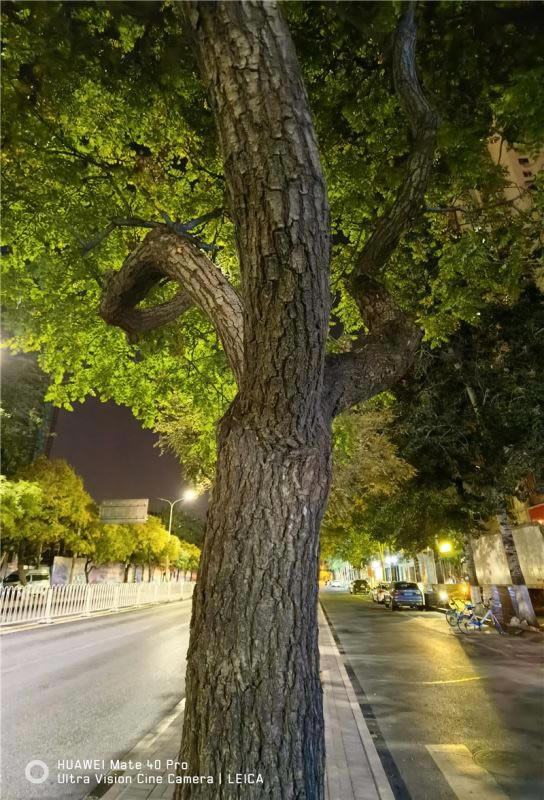 华为Mate40Pro值得入手吗 华为Mate40 Pro首发上手体验评测_手机评测_手机学院_本站